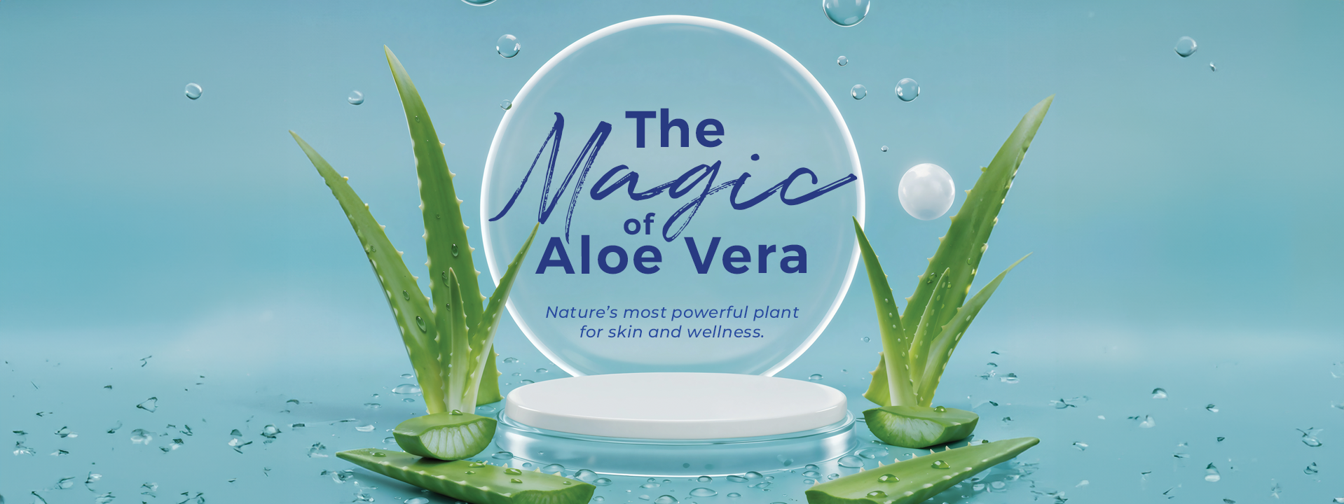 aloe vera pets Zoo's Aloe Vera Pet Shampoo by Soos Pets – Soos Pets main image 1